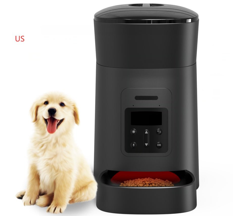 Pet feeder automatic - Zampycare.com