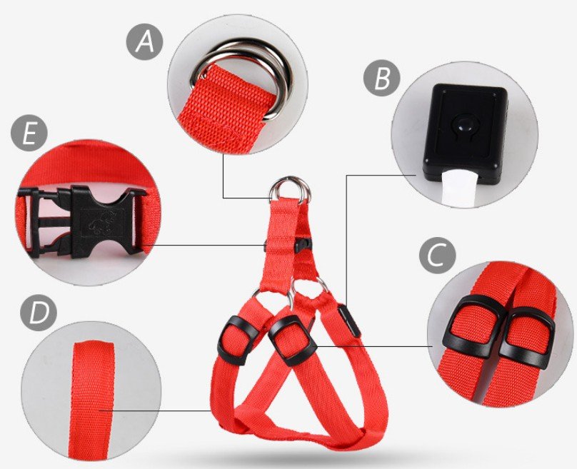Pet Products LED Luminous Dog Chest Strap Large Dog Luminous Dog Leash - Zampycare.com